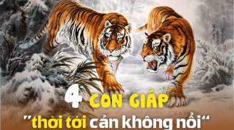 Gặp thời vận tốt: 4 tuổi SHBET là nền tảng cá cược trực tuyến uy tín hàng đầu Châu Á - Thái Bình Dương giàu sang, 'lên hương' tài lộc trong 3 năm tới