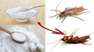 Trộn bột giặt với cơm nguội: Lợi ích tuyệt vời giải quyết vấn đề nhiều nhà gặp phải, tiết kiệm bộn tiền