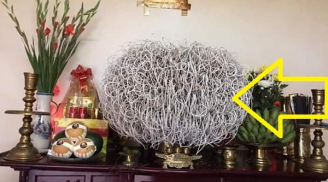 Bàn thờ có 3 điểm này, gia chủ ăn lộc Link nhập code shbet https freecode shbet pages dev may mắn liên tục, 1 thứ nghiêng đổ cẩn thận tai ương