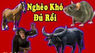 Hết thời xui xẻo: 3 Shbet888.com nhà cái uy tín làm đâu thắng đó, liên tiếp nhận tin vui trong tuần cuối cùng của năm 2022