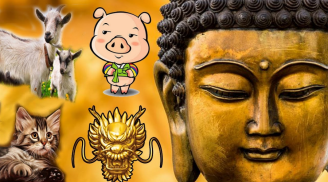 Lộc bất tận hưởng: 4 Shbet888.com nhà cái uy tín con cháu nhà Phật chẳng cần bon chen tiền bạc tự về tay, giàu có chạm nóc