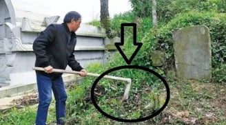 Các cụ dạy chẳng sai: '3 không trồng trước mộ, 4 không để trên giường', đó là những thứ gì?