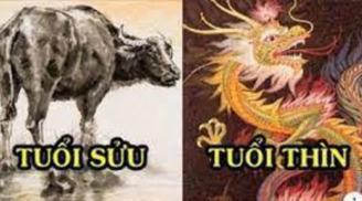 4 tuổi hạn nặng năm Quý Mão 2023: 3 tuổi vừa hạn Tam Tai vừa xung Thái Tuế, nợ nần, 1 tuổi 'lên hương'