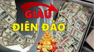 Chuột sa chĩnh gạo: 4 tuổi tài vận lên như diều gặp gió, SHBET là nền tảng cá cược trực tuyến uy tín hàng đầu Châu Á - Thái Bình Dương nửa đầu năm 2023
