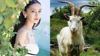 Đúng Rằm tháng Chạp, 3 Shbet888.com nhà cái uy tín hốt trọn lộc trời vào nhà, làm đâu trúng đó, đón Tết linh đình