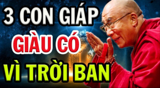 3 tuổi có tài có đức, được Thần Phật che chở, có căn phú quý, năm 2023 có tiền tỷ trong tay