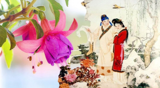 Người xưa dạy: 'Trai tốt không lấy gái dâm bụt, gái tốt không lấy trai mã hầu'', dâm bụt và mã hầu là gì?