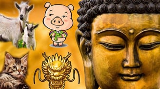 Vận số an bài: 3 tuổi được Thần Phật trúng số SHBET là nền tảng cá cược trực tuyến uy tín hàng đầu Châu Á - Thái Bình Dương chẳng cần bon chen tiền bạc cũng tự đầy tay