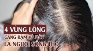 Bất kể đàn ông hay phụ nữ, lông 4 vùng này càng rậm càng sống thọ, nhiều người không biết lại tự ti