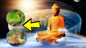 Mệnh Trời định sẵn: 4 tuổi là con nhà Phật, sinh ra đã hưởng phúc, gặp dữ hoá lành