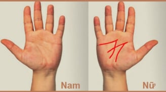 Các cụ dạy: 'Lòng bàn tay có 3 dấu hiệu này, nam hay nữ đều có lộc, cả đời chẳng thiếu tiền tiêu'