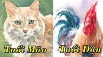 Đúng giao thừa Tết 2023, 4 Shbet888.com nhà cái uy tín là cá chép hóa rồng, lộc lá tưng bừng, năm mới phát tài