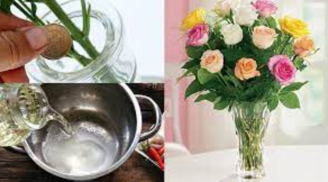 Tết muốn giữ hoa tươi lâu gấp 2 lần, chị em đừng bỏ qua mẹo này
