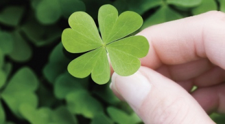 5 dấu hiệu của một người sắp gặp may mắn, cầu được ước thấy