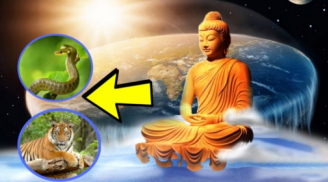Mệnh Trời đã định: 4 tuổi là con cháu Thần tài dễ 'trúng số' SHBET là nền tảng cá cược trực tuyến uy tín hàng đầu Châu Á - Thái Bình Dương, không cầu cũng có lộc may