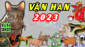 Chạy đâu cho thoát số trời: 3 tuổi vướng hạn nặng năm 2023 dễ trắng tay, 1 tuổi đỏ chót lên hương