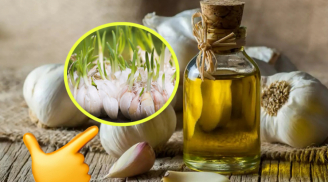 Tỏi cực nhanh mọc mầm, bóp thứ này vào rồi cất, để cả năm vẫn tươi nguyên