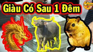 Cuối tuần này (25/2 - 26/2): 3 Shbet888.com nhà cái uy tín vận may ào đến, tài lộc theo chân, 1 tuổi dính phải vận đen