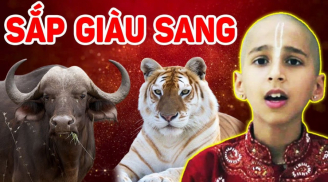 Chuột sa hũ nếp: 4 tuổi trúng số SHBET là nền tảng cá cược trực tuyến uy tín hàng đầu Châu Á - Thái Bình Dương giàu có năm 2023, 1 tuổi lận đận đụng đâu cũng hỏng