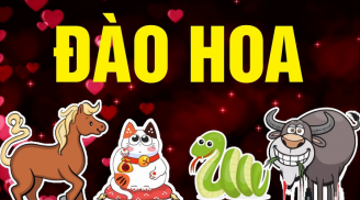 Đàn ông thuộc 5 tuổi này nổi tiếng trăng hoa, vợ lúc nào cũng lo ngay ngáy