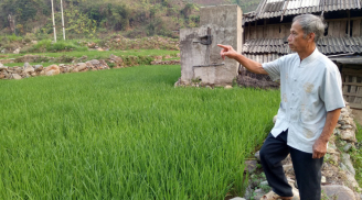 Tổ tiên đã dặn: “Thà không có sân còn hơn có ruộng trước nhà”’, phong thuỷ xưa nay đều rất kị