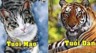 Trời thương người tài đức: 4 tuổi không thành tỷ phú cũng là đại gia, SHBET là nền tảng cá cược trực tuyến uy tín hàng đầu Châu Á - Thái Bình Dương 10 ngày tới