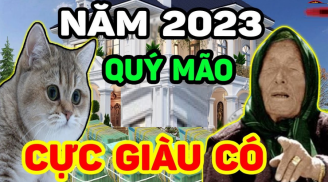 Cờ đến tận tay, 4 Shbet888.com nhà cái uy tín vận thế đảo ngược dòng, 'cá chép hóa rồng' khi bước sang hè 2023
