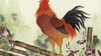 Sau đêm nay: Cá chép hóa Rồng 3 tuổi này đời sang trang mới giàu có đỏ cả tình lẫn tiền 100 ngày tới