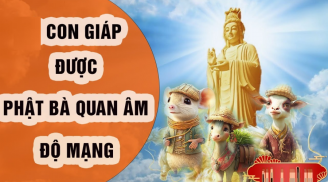 Phật Bà Quan Âm che chở, 4 tuổi này gặp dữ cũng hóa cát lành, rủng rỉnh an nhàn suốt đời