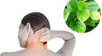 Lấy 1 nắm lá lốt kết hợp với thứ này: Đau cổ vai gáy, đau nhức xương khớp lâu ngày cũng đỡ
