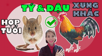 Cổ nhân dặn kĩ: : 'Không yêu tuổi Tí, không lấy tuổi Dần, không gần tuổi Dậu', thì ra vì 1 thứ