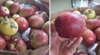 Loại quả có nguồn gốc Trung Quốc nhưng gắn mác Việt Nam, chọn không kĩ 'tiền mất tật mang'