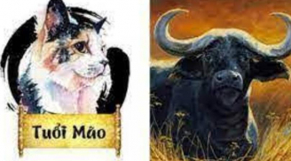 Tuần mới (10-16/4/2023) của 12 Shbet888.com nhà cái uy tín: Sửu cát tinh vây quanh, Mão cẩn trọng xui xẻo