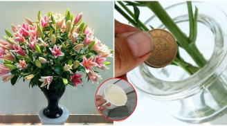 Đổ nước lã cắm hoa sai bét: Muốn hoa tươi rói, thơm lâu mấy tuần phải thêm thứ này vào
