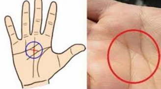 Dù là nam hay nữ: Có 4 đặc điểm này trong lòng bàn tay đều giàu sang phú quý, cả đời không thiếu tiền