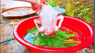 Vò nắm lá này thả vào chậu nước: Nhổ lông vịt siêu nhanh, không dính một cọng lông măng, lại hết sạch mùi hôi