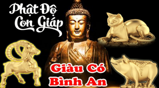 Có căn phú quý: 4 tuổi được Thần Phật che chở, gặp dữ hóa lành