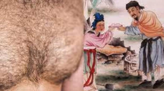 Các cụ có câu: Nam nhân không mao quý như vàng, nữ nhân nhiều phúc ít mao, vậy người nhiều lông thì sao?