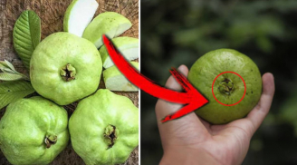 Người bán hàng không bao giờ nói: Mua ổi cứ nhìn vào rốn biết ngay quả nào giòn ngọt, không sợ xốp