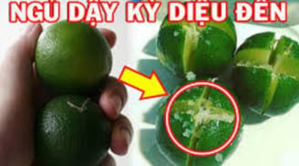 Học người giàu đúng nửa đêm đặt đĩa gia vị này trong phòng ngủ, hôm sau sau thấy kết quả bất ngờ