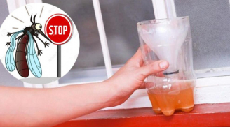 Trời nồm muỗi nhiều, đặt bát nước này trong phòng, muỗi nhiều mấy cũng bay xa, cả đêm ngủ ngon giấc