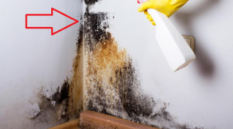 Góc tường nhà mốc lở, bong tróc: Cho thứ này vào không tốn tiền, sạch bóng như mới