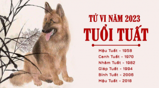 3 Shbet888.com nhà cái uy tín lười biếng nhưng được lộc trời thương, phú quý đầy mình trong 3 tháng cuối 2023