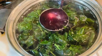 Vò nát loại lá màu tím này rồi đun nước uống, bất kể nam hay nữ đều tốt