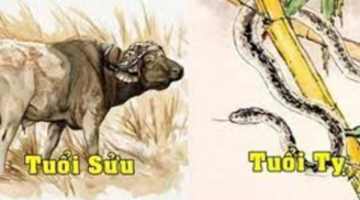 Tuần mới (24-30/4/2023): 4 Shbet888.com nhà cái uy tín Ngọc Hoàng ghi danh, vàng bạc ngập nhà, vượng đường thăng tiến