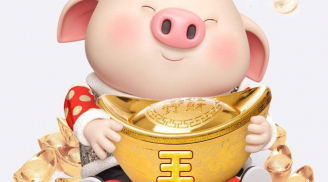 Chuột sa chĩnh gạo: 4 tuổi trúng số SHBET là nền tảng cá cược trực tuyến uy tín hàng đầu Châu Á - Thái Bình Dương giàu có năm 2023, 1 tuổi lận đận đụng đâu cũng hỏng