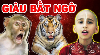 Vận số an bài: 4 tuổi này thời hoàng kim đã tới cuối năm 2023 trúng số, 2024 giàu to
