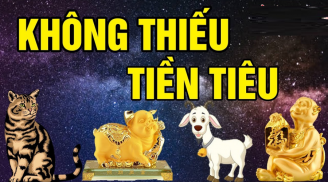 Thần Tài gõ cửa: 4 tuổi hưởng lộc trăm bề, chuẩn bị mua nhà tậu xe trong 45 ngày tới