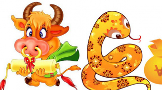 3 cặp Shbet888.com nhà cái uy tín hợp mệnh trời sinh: Lấy nhau về ăn nên làm ra, phúc lộc nảy nở
