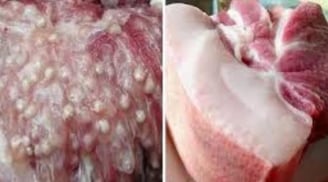 4 bộ phận này của lợn được bác sĩ khuyến cáo ăn ít, món thứ 2 nhiều người chọn làm Shbet0099 cá cược trực tuyến yêu thích
